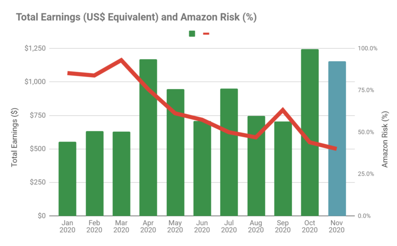 Total Earnings and Amazon Risk - Jan 2020 to Nov 2020